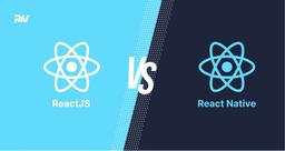 React web development